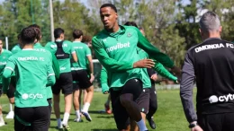 Έβγαλε είδηση Μπεργκ για Μαγιαμπέλα!